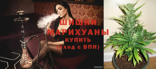 крисы Беломорск