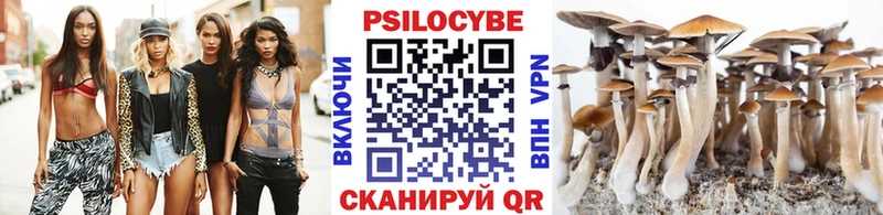где можно купить наркотик  Короча  mega маркетплейс  Галлюциногенные грибы Psilocybe 